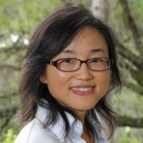 Feihong Wang, Ph.D.